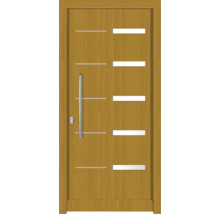 Moderne Haustür mit Griff und Lichtausschnitten