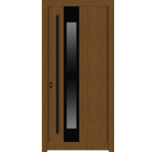 Haustür mit Glaseinsatz und Griff