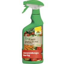 BioKraft Vitalkur Obst & Gemüse 500 ml