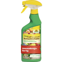 Neudorff Biokraft Grundstoff Schachtelhalm Pflanzenspray, anwendungsfertig für Obst und Gemüse