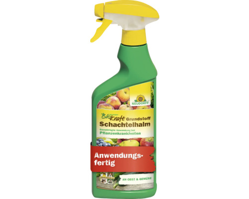 Grundstoff Schachtelhalm Neudorff Biokraft Sprühflasche 500 ml