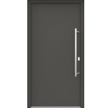Graue Haustür mit Griffstange