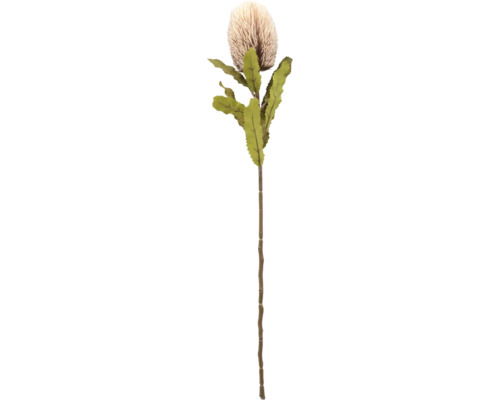 Künstliche Banksia-Blume mit Blättern und Stiel