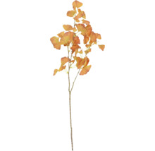 Ginkgozweig zur Dekoration