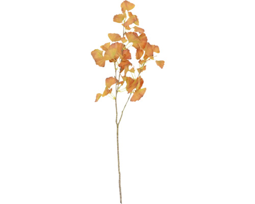 Ginkgozweig zur Dekoration