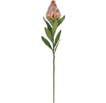 Künstliche Protea Blume mit grünem Stiel und Blättern