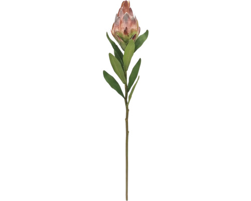 Künstliche Protea Blume mit grünem Stiel und Blättern