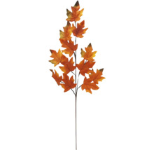 Dekorativer Zweig mit Ahornblättern für Herbstdekorationen