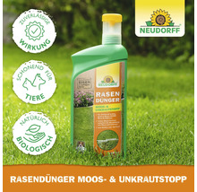 Neudorff Rasendünger Moos- und Unkraut-Stopp im Rasen