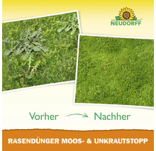Vorher-Nachher-Vergleich von Rasen mit und ohne Unkrautvernichter. Neudorff Logo
