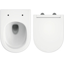 Wand-Tiefspül-WC mit WC-Sitz