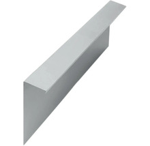 Schneckenblech 100 x 20 cm verzinkter Stahl