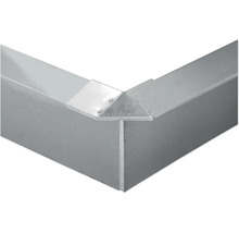 Schneckenblech 100 x 20 cm verzinkter Stahl