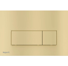 Veporit Betätigungsplatte für WC