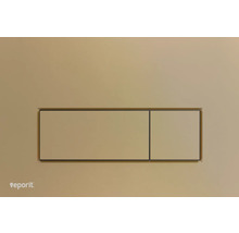 Betätigungsplatte für WC-Spülung