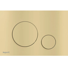 Betätigungsplatte mit zwei Tasten