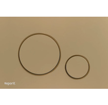 Toilettenspülung mit zwei Tasten