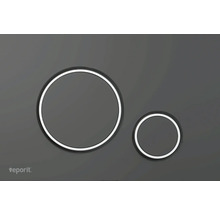 Druckplatte für die Toilettenspülung mit zwei Tasten