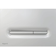 Toilettenspülplatte mit zwei Tasten