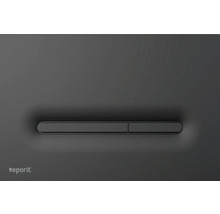 Veporit Logo und Betätigungsplatte für WC