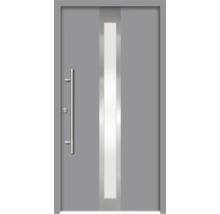 Graue Haustür mit Glaseinsatz und Griff