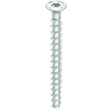 Holzschraube mit Torx-Antrieb