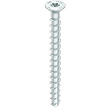 Silberfarbene Schraube mit Torx Antrieb