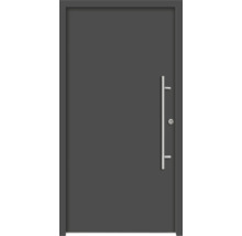 Graue Haustür mit einem Griff aus Metall