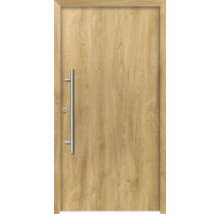 Holztür mit Edelstahlgriff