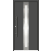 Haustür mit Glaseinsatz und Griffstange