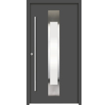 Graue Haustür mit Glaseinsatz und Stangengriff