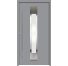 Graue Haustür mit Glaseinsatz und Griff