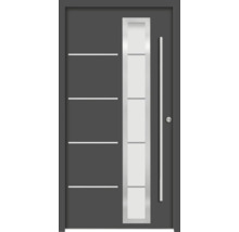 Haustür mit Glaseinsatz und Griff