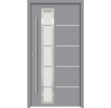 Graue Haustür mit Glaseinsatz und horizontalen Zierlinien
