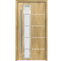 Holztür mit Glaseinsatz und Edelstahlgriffen