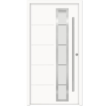 Moderne Haustür mit Glaseinsatz und Griff