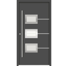 Moderne Innentür mit rechteckigen Glaseinsätzen und geradem Türgriff