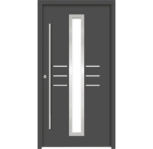 Moderne Haustür mit Glaseinsatz und Griff