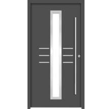 Moderne Haustür mit Glaseinsatz und Stangengriff