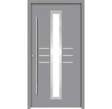 Graue Haustür mit Glaseinsatz und geradem Griff