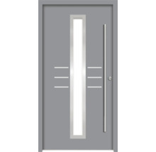 Graue Haustür mit Glaseinsatz und Stangengriff