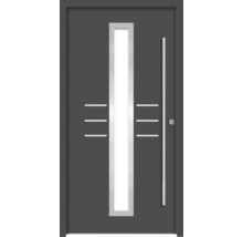 Moderne Haustür mit Glaseinsatz und Griffstange