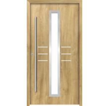 Haustür mit Glaseinsatz und Griff
