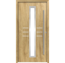 Haustür mit Glaseinsatz und Stangengriff