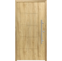 Holztür mit Edelstahlgriff