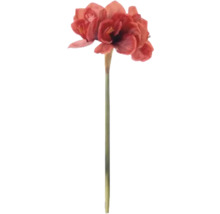 Künstlicher Amaryllis-Zweig