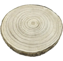 Holzscheibe mit Baumringen