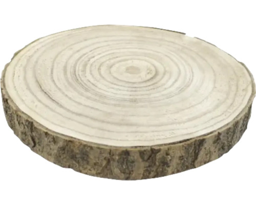 Baumscheibe aus Holz