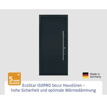 EcoStar ISOPRO Secur Haustür mit Griff und fünf Jahre Garantie