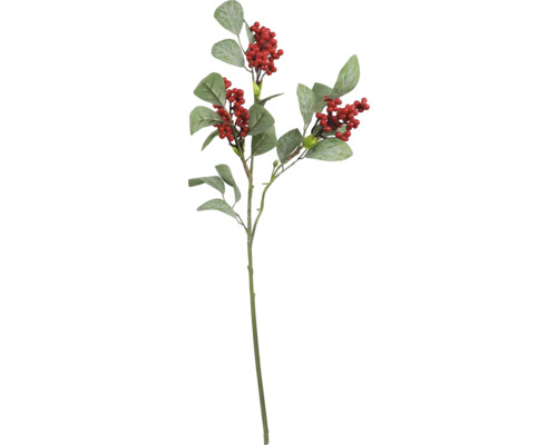 Dekorativer Zweig mit Blättern und Beeren zur Dekoration